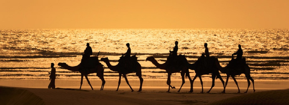 banner-CamelsonBeach